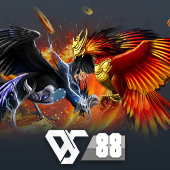 Sabong f1668